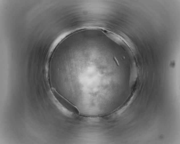 X0000091711196200709141113