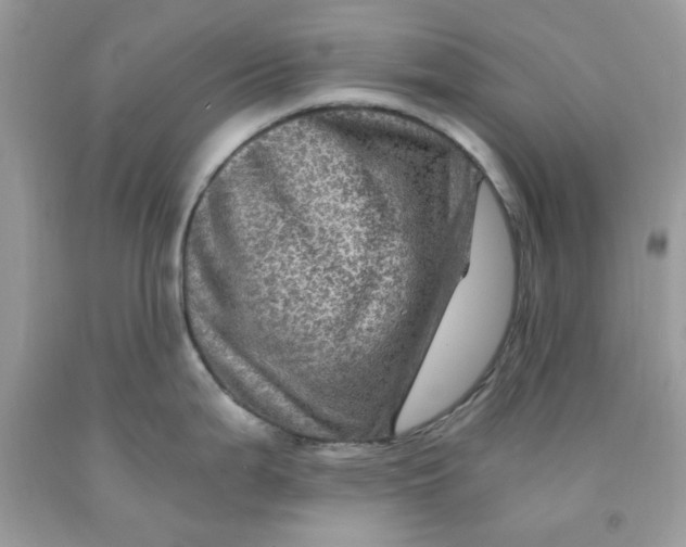 X0000091711199200709141113