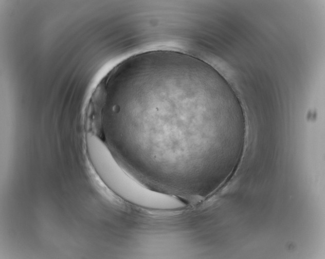 X0000091711200200709141113