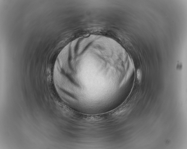 X0000091711203200709141113