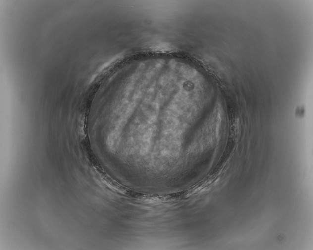 X0000091711205200709141113