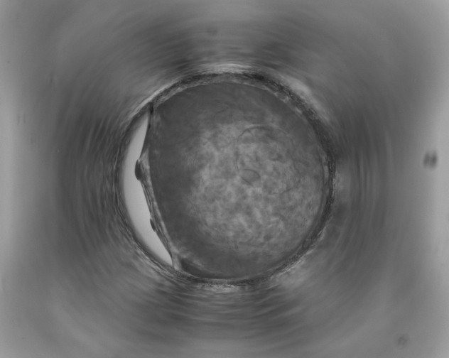 X0000091711209200709141113