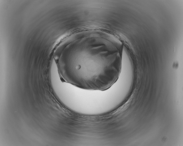 X0000091711210200709141113