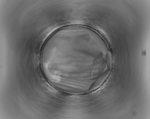 X0000091711212200709141113