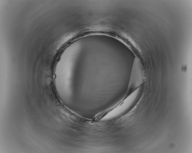 X0000091711213200709141113