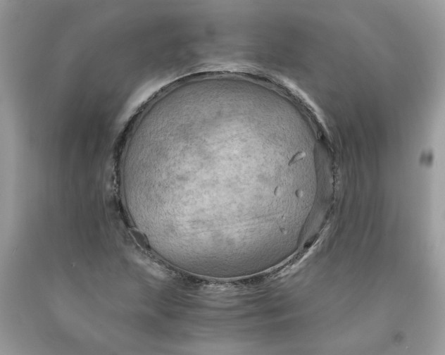 X0000091711215200709141113