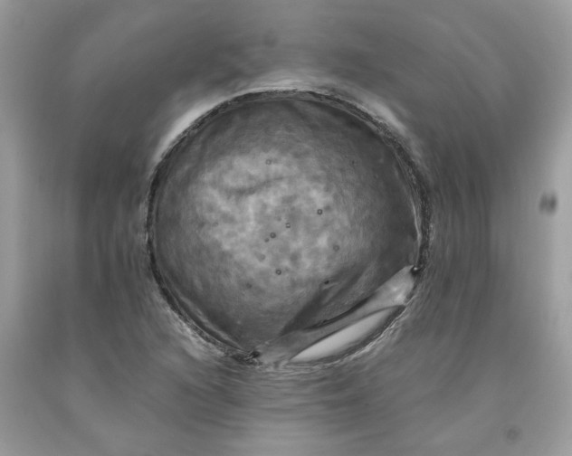 X0000091711216200709141113