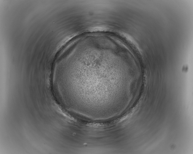 X0000091711217200709141113