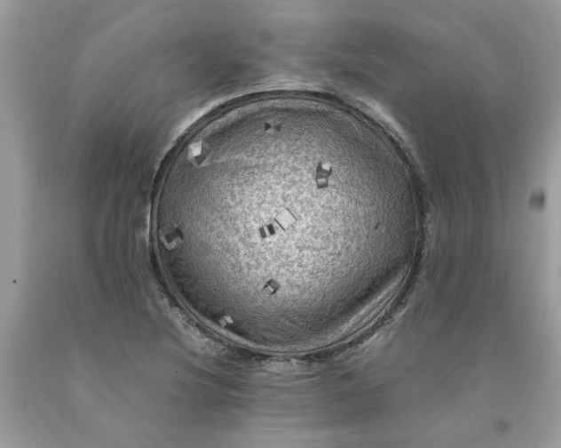 X0000091711220200709141113