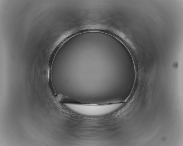 X0000091711221200709141113