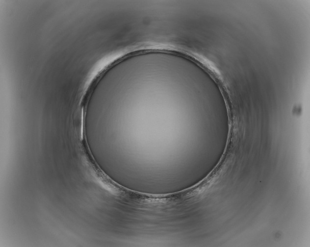 X0000091711223200709141113