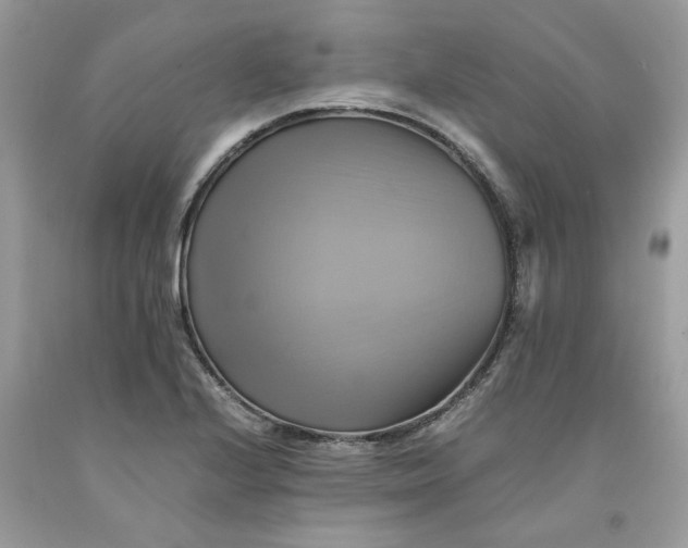 X0000091711224200709141113