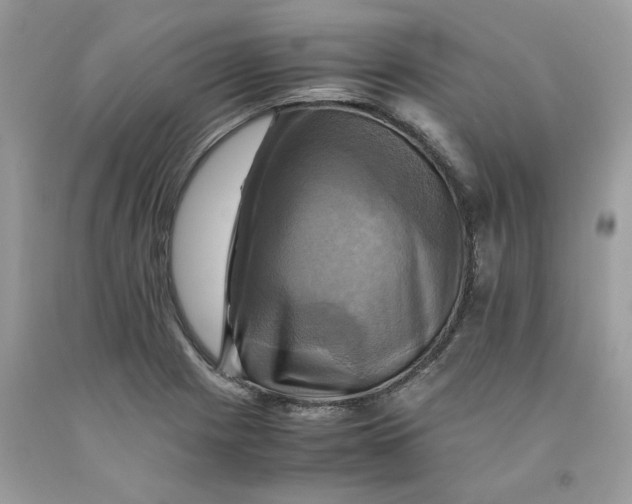 X0000091711225200709141113