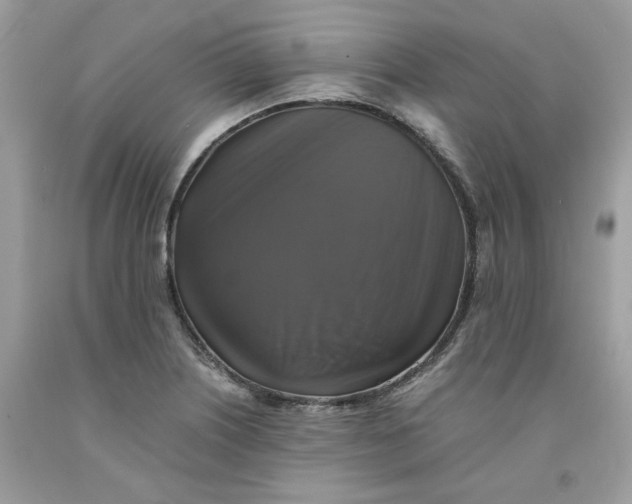 X0000091711226200709141113