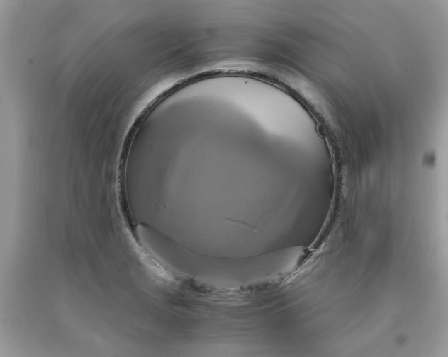 X0000091711229200709141113