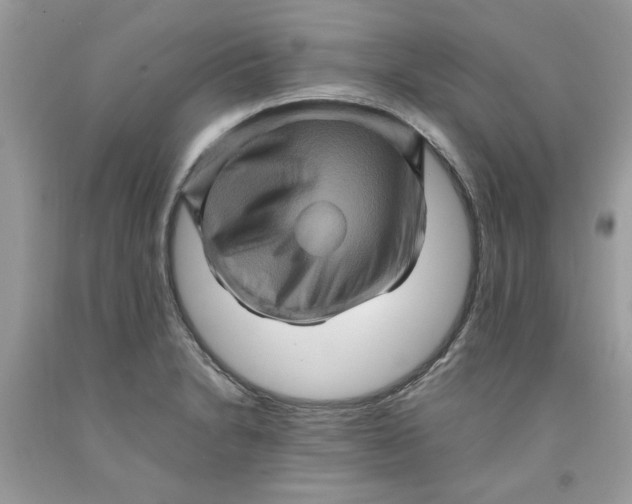 X0000091711230200709141113