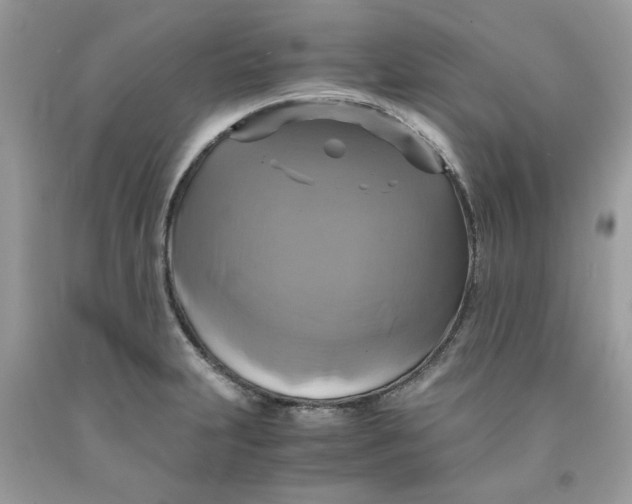 X0000091711231200709141113