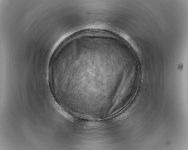 X0000091711232200709141113