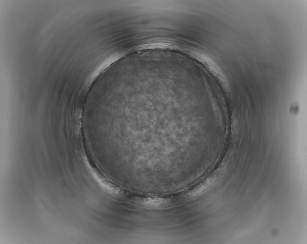 X0000091711233200709141113