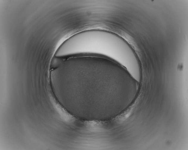 X0000091711234200709141113