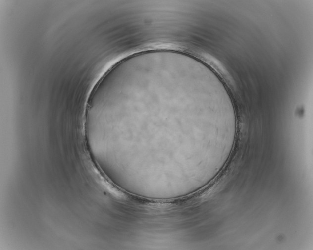 X0000091711236200709141113