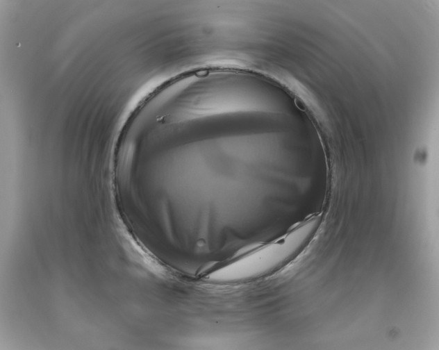 X0000091711240200709141113