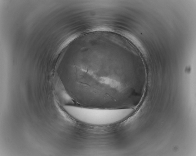 X0000091711241200709141113