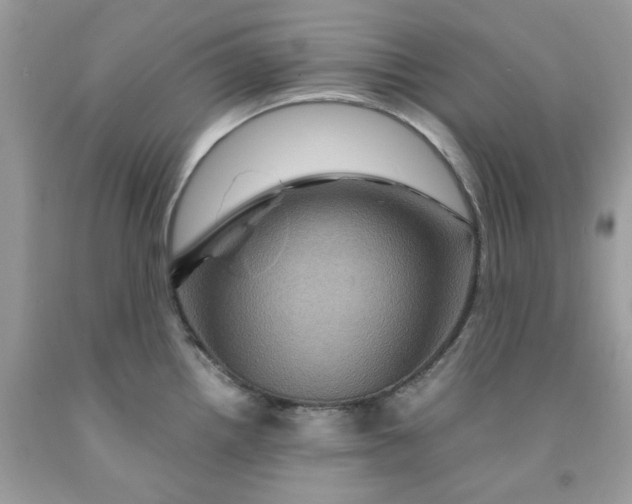 X0000091711242200709141113