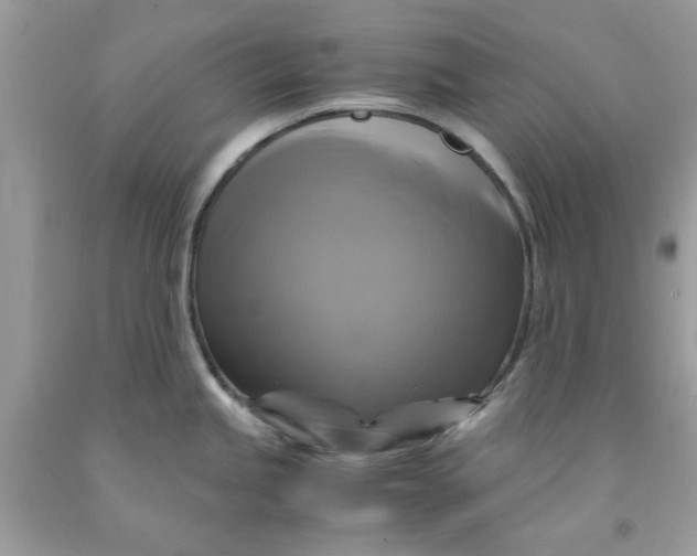 X0000091711245200709141113