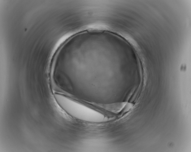 X0000091711248200709141113