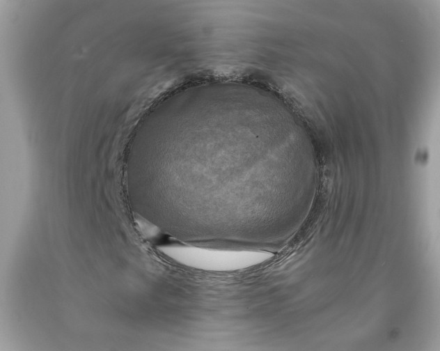 X0000091711249200709141113