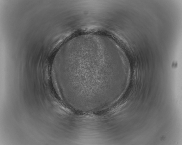 X0000091711250200709141113