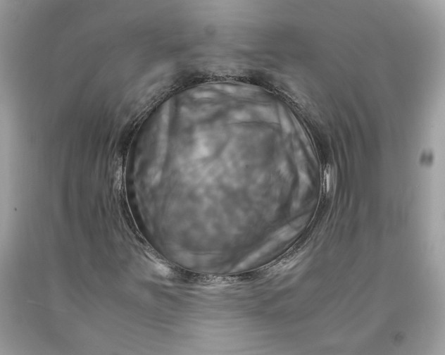 X0000091711251200709141113