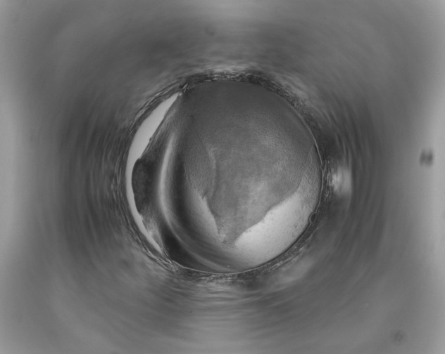 X0000091711252200709141113