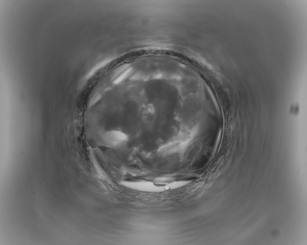 X0000091711255200709141113