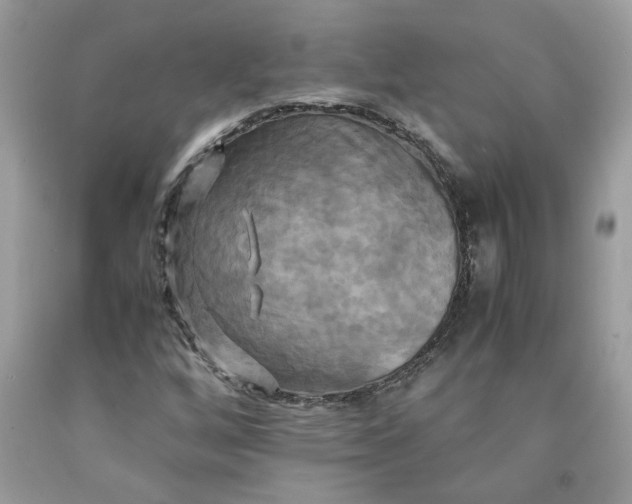 X0000091711256200709141113