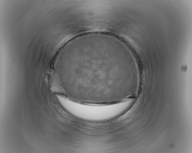 X0000091711257200709141113