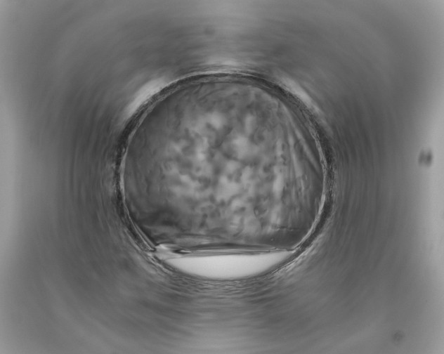 X0000091711259200709141113