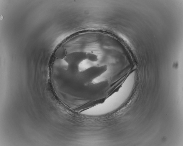 X0000091711267200709141112