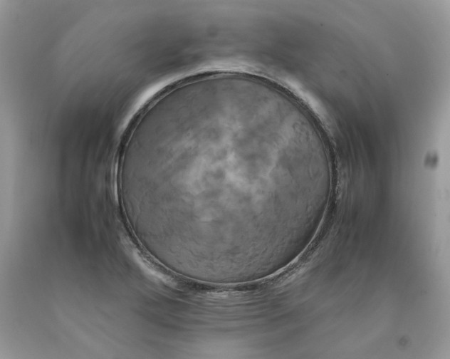 X0000091711272200709141112