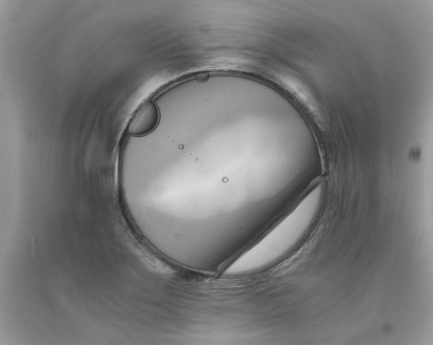 X0000091711275200709141112