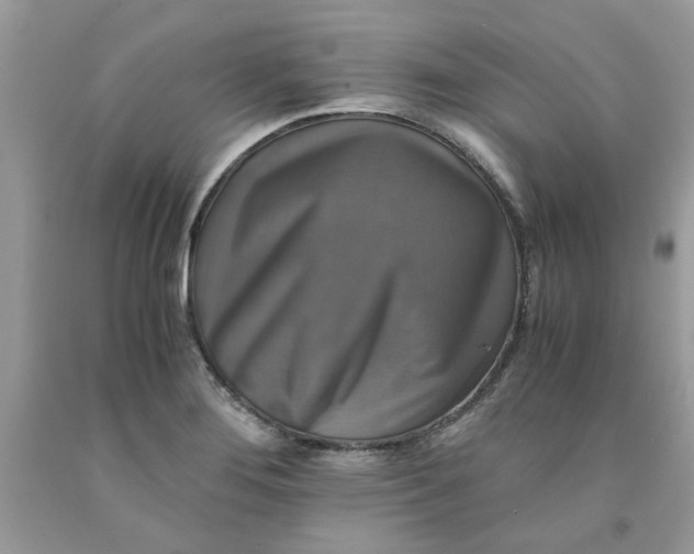 X0000091711276200709141112