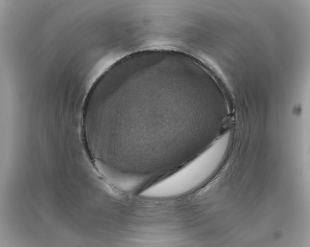 X0000091711277200709141112