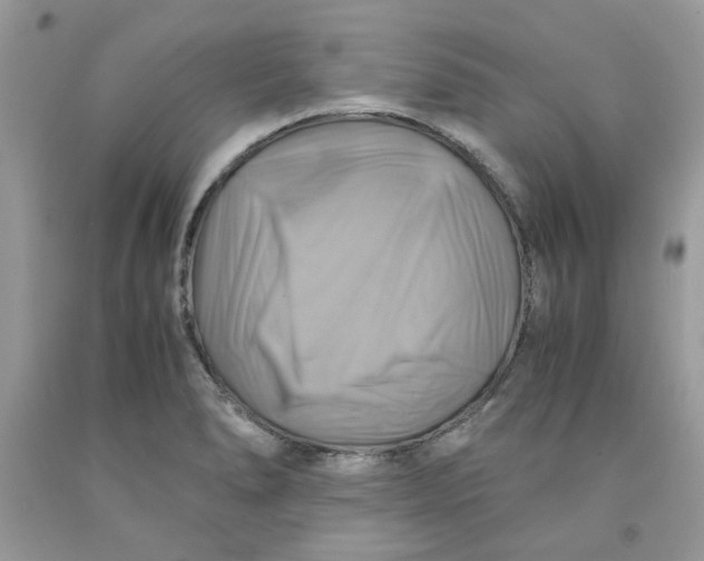 X0000091711278200709141112