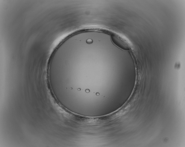 X0000091711279200709141112