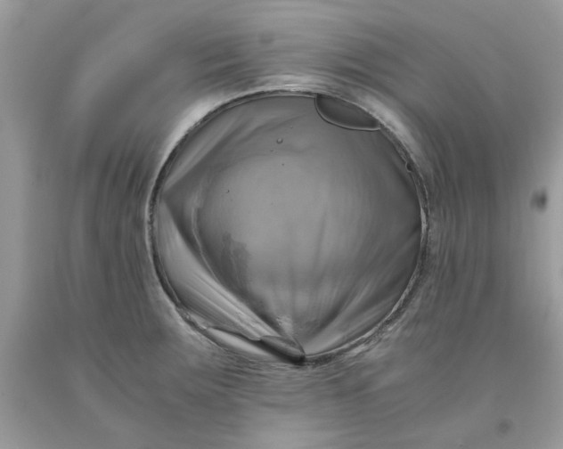 X0000091711283200709141112