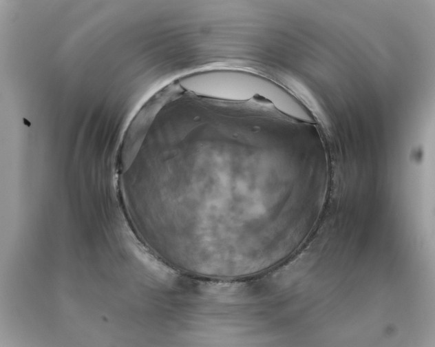 X0000091711284200709141112