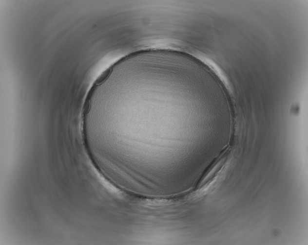 X0000091711285200709141112