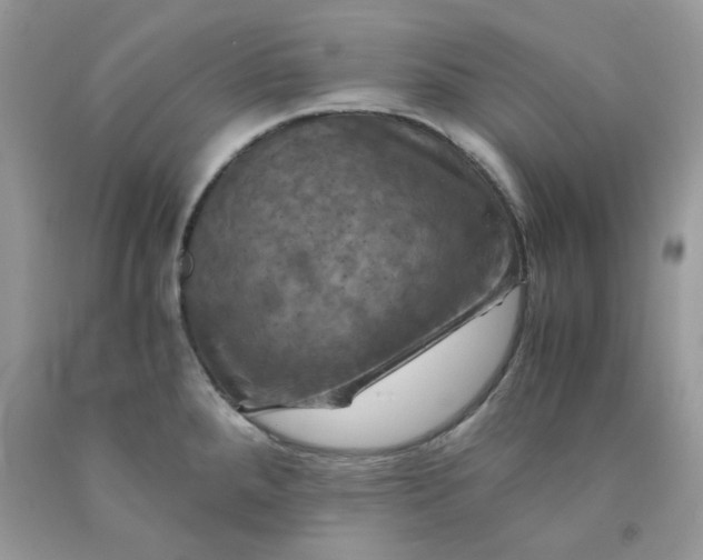 X0000091711288200709141112