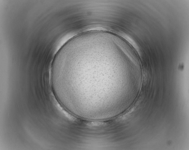 X0000091711290200709141112